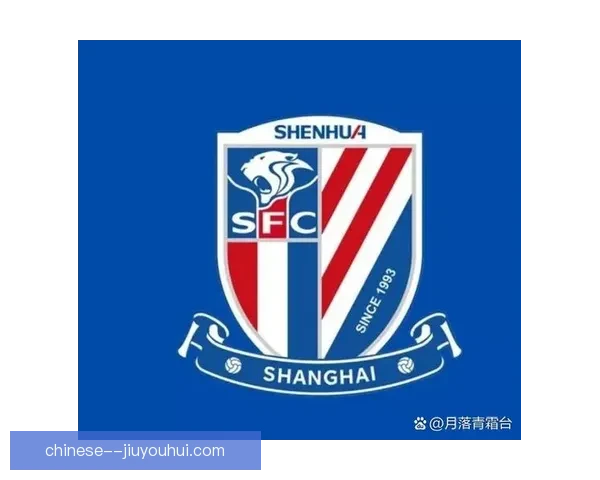中超最新评选：成都蓉城荣膺年度最佳球队称号